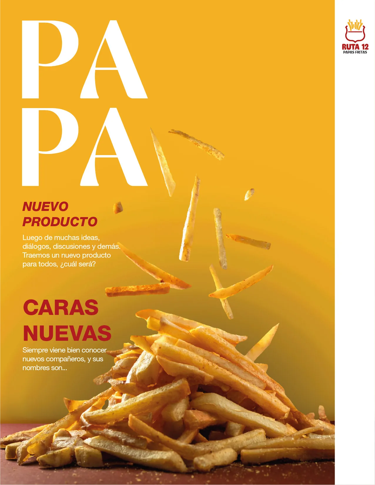 Newsletter Papa